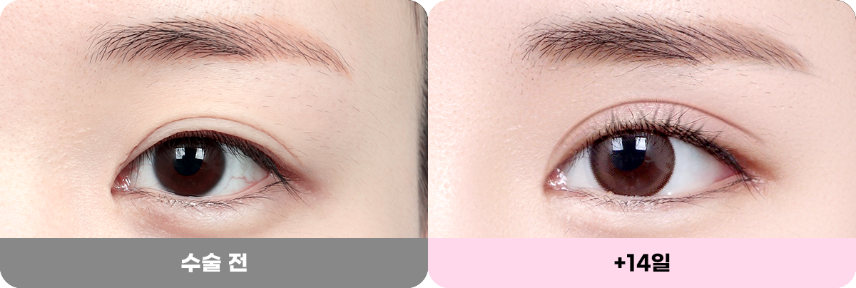 디에이 화려한 세미아웃