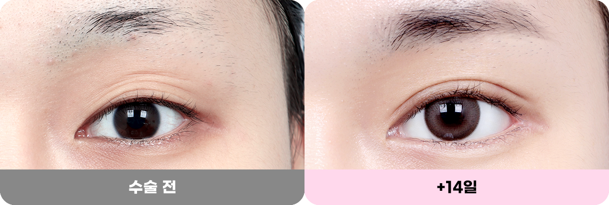 디에이 화려한 세미아웃