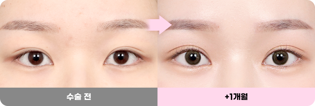 디에이 화려한 세미아웃