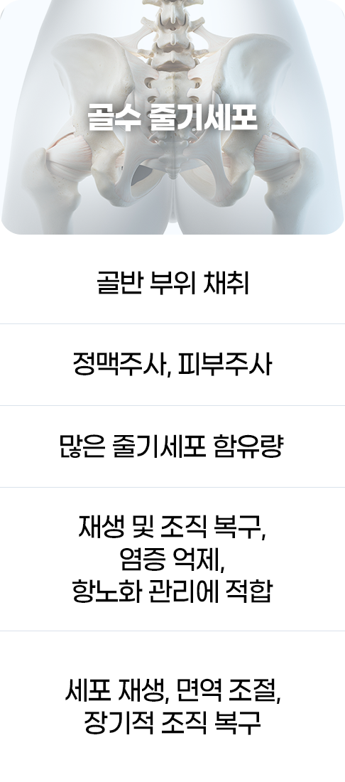 디에이 줄기세포