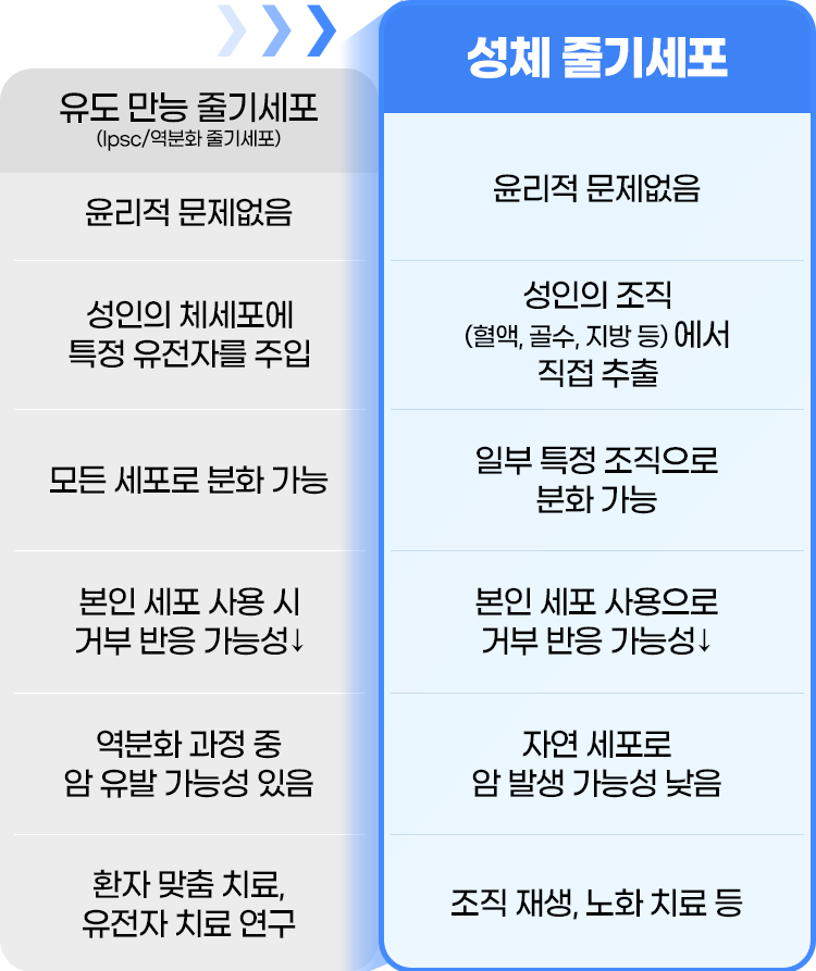 디에이 줄기세포