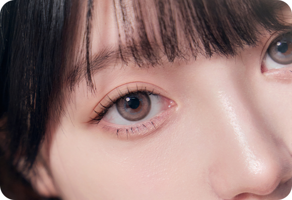 디에이 몽고트임