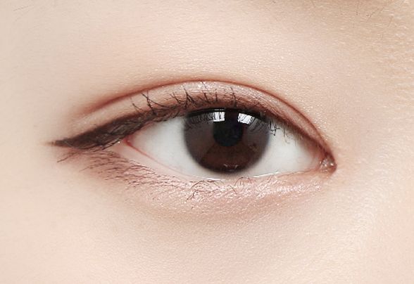 디에이 몽고트임