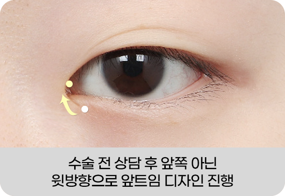 디에이 몽고트임