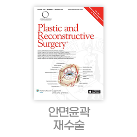 디에이 노핀윤곽