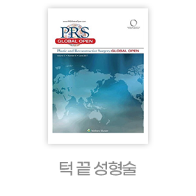 디에이 노핀윤곽