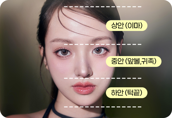 디에이 보형물윤곽