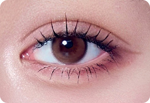 디에이 화려한 세미아웃